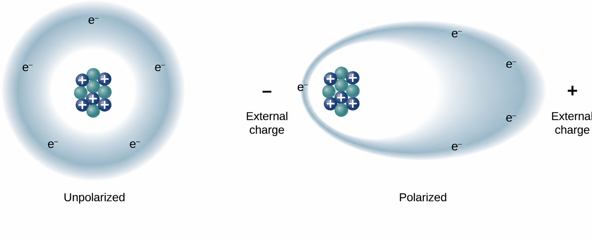 Unpolarized atom beside a polarized atom whose electron cloud shifts toward an external positive charge while its positive nucleus shifts toward an external negative charge