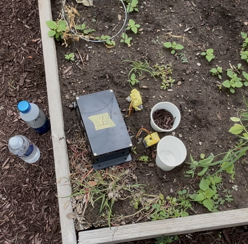 Closed Transmitter ESP32 box in the garden bed, with wires leading to two soil-moisture sensors beside it